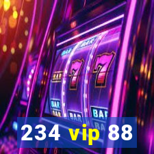 234 vip 88
