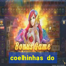 coelhinhas do brasil recife