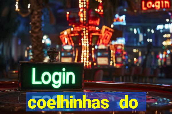 coelhinhas do brasil recife
