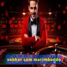 sonhar com marimbondo