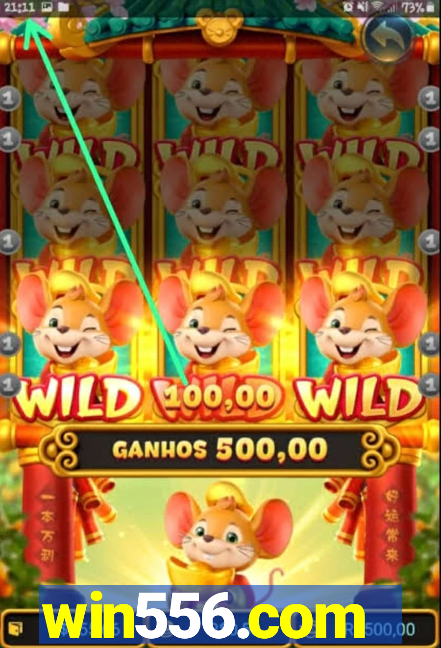 win556.com