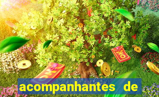 acompanhantes de nova mutum