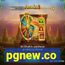 pgnew.co