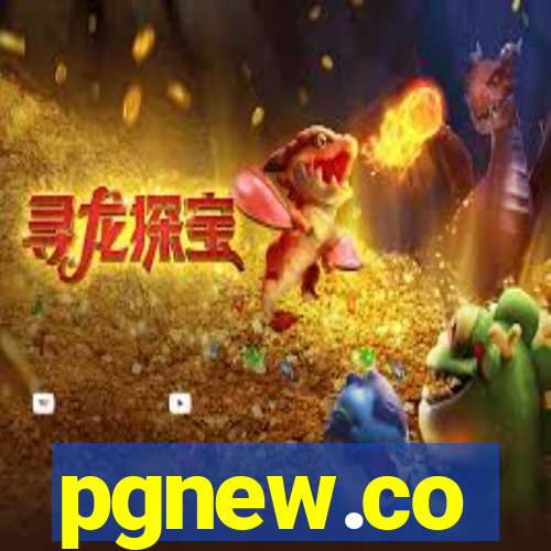 pgnew.co