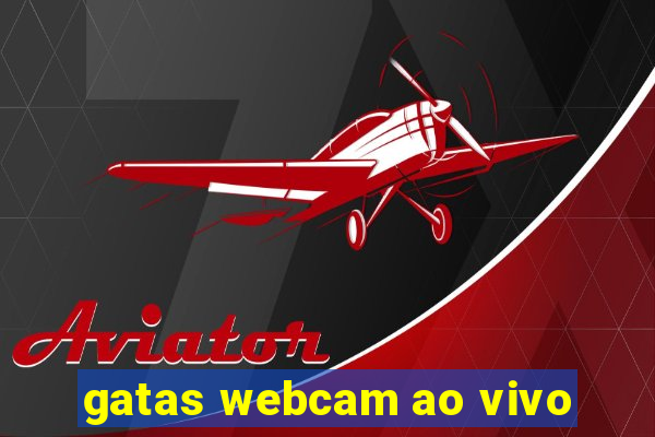 gatas webcam ao vivo