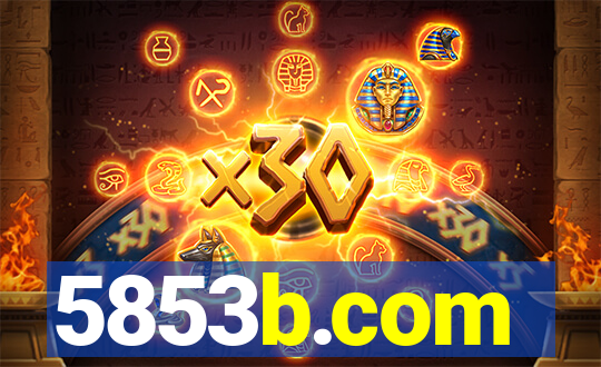 5853b.com