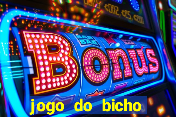jogo do bicho crash bingo