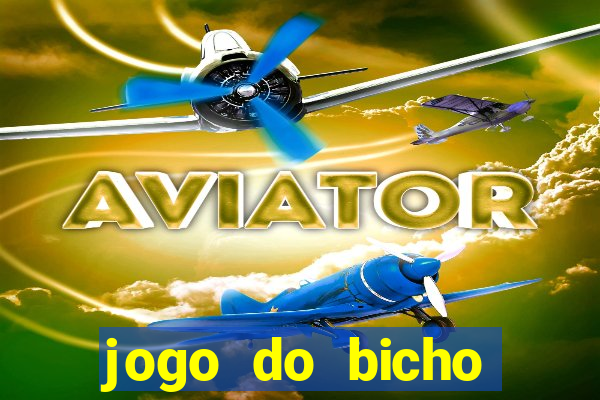 jogo do bicho crash bingo