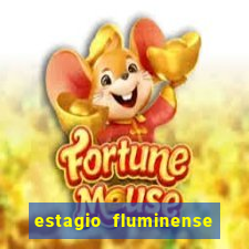 estagio fluminense futebol clube