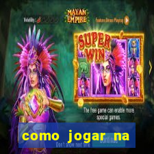 como jogar na seninha online