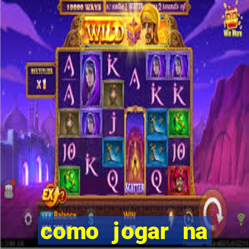 como jogar na seninha online