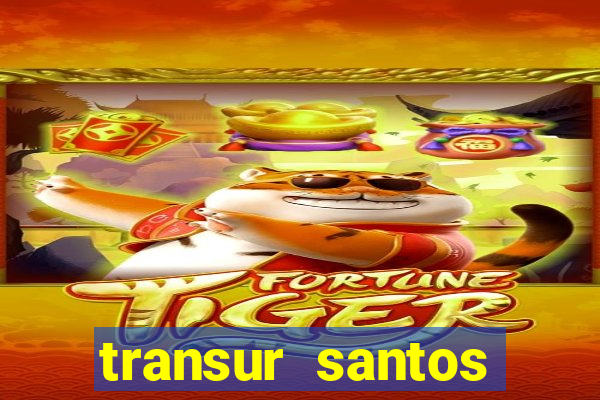 transur santos dumont x juiz de fora 2024