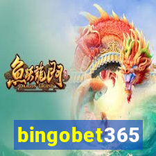 bingobet365