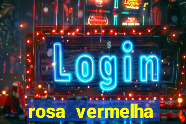 rosa vermelha (letra e cifra)
