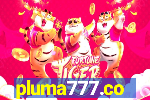 pluma777.co