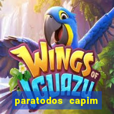 paratodos capim grosso resultado do jogo do bicho