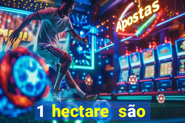 1 hectare são quantas tarefas na bahia