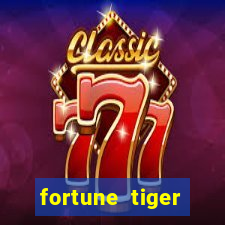 fortune tiger plataforma nova