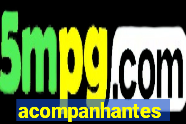 acompanhantes chamada de video
