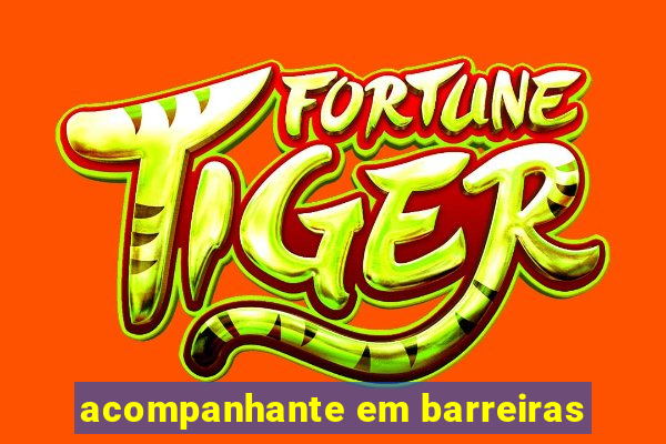 acompanhante em barreiras