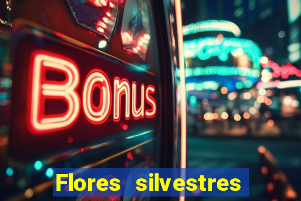 Flores silvestres brasileiras 25