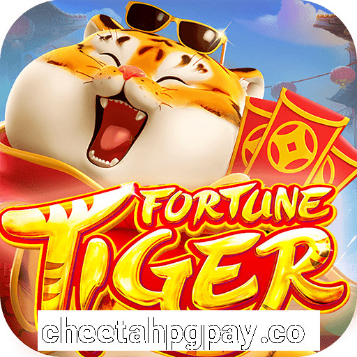 cheetahpgpay.com