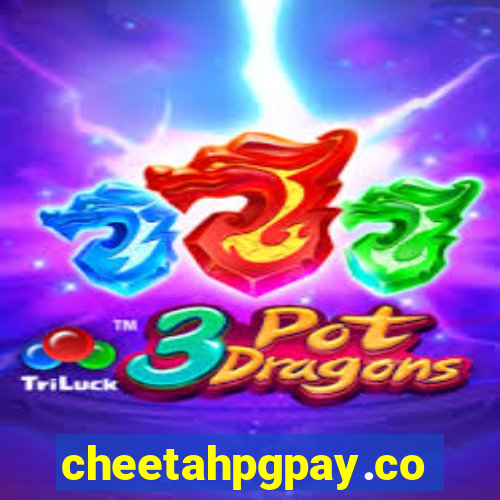 cheetahpgpay.com