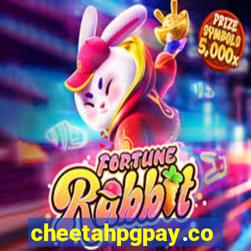 cheetahpgpay.com
