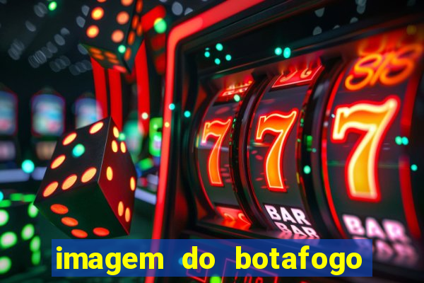 imagem do botafogo zuando o palmeiras
