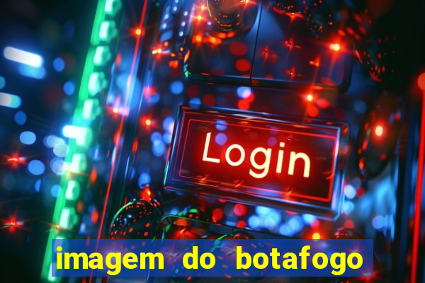 imagem do botafogo zuando o palmeiras