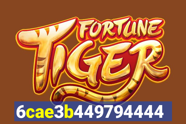 5hbet.com.br