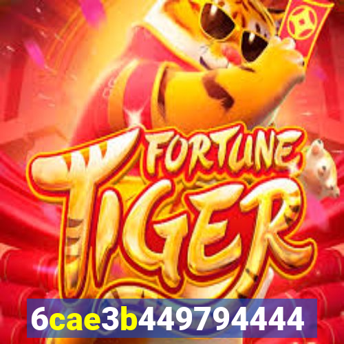 5hbet.com.br