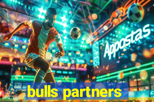 bulls partners