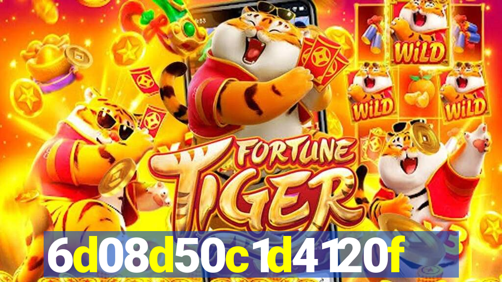 312bet plataforma