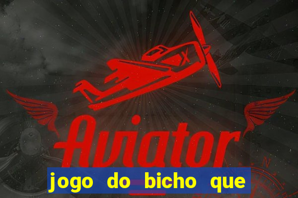 jogo do bicho que paga no pix