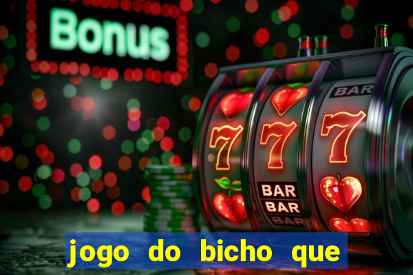 jogo do bicho que paga no pix
