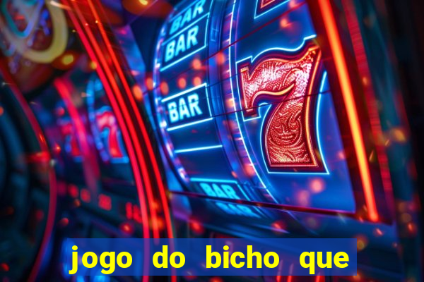 jogo do bicho que paga no pix
