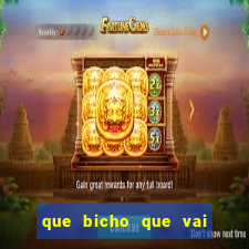 que bicho que vai dar hoje