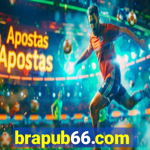 brapub66.com