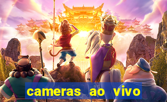 cameras ao vivo porto de santos