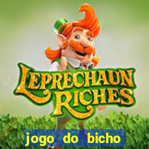 jogo do bicho feira de santana