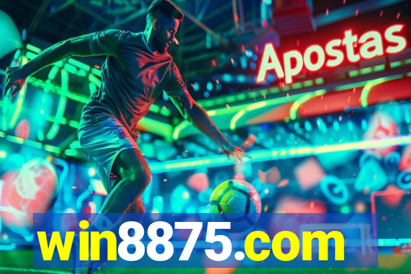 win8875.com