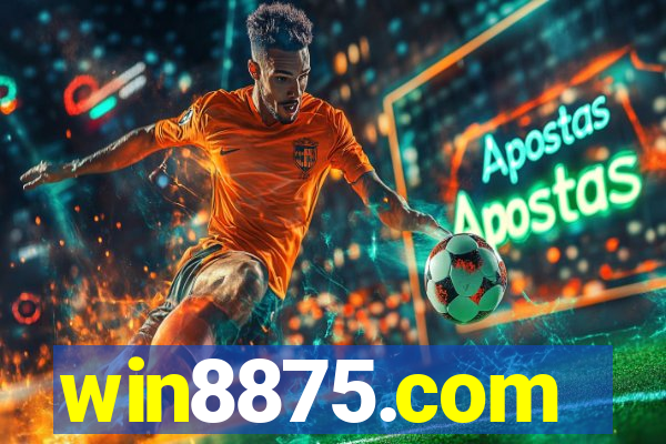 win8875.com