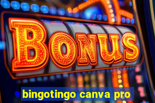 bingotingo canva pro