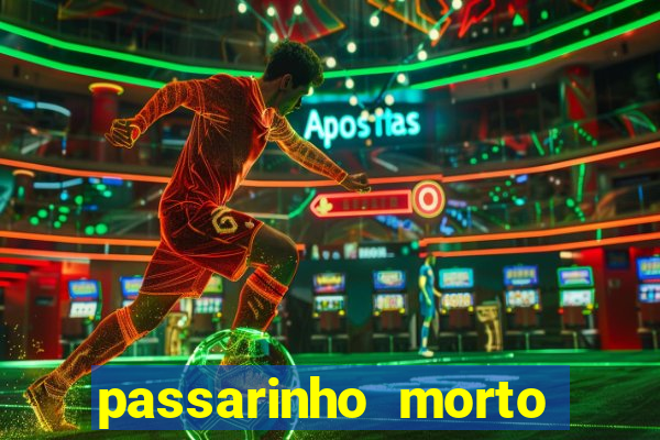 passarinho morto significado espiritual