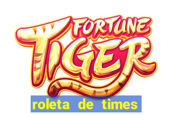 roleta de times brasileiros serie a 2024
