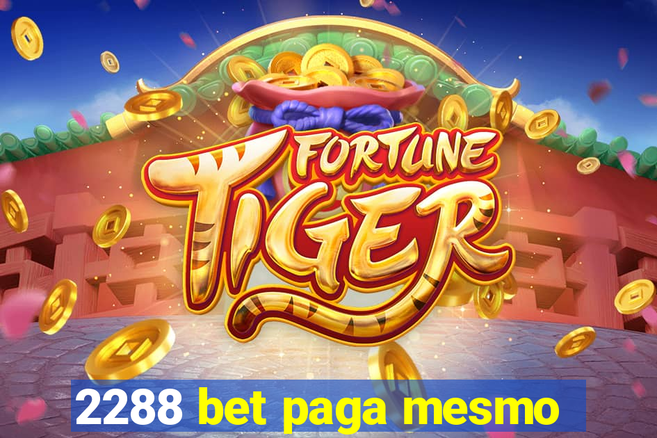 2288 bet paga mesmo
