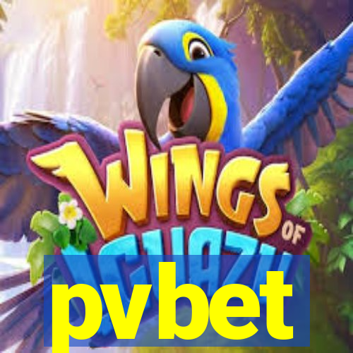 pvbet