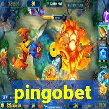 pingobet