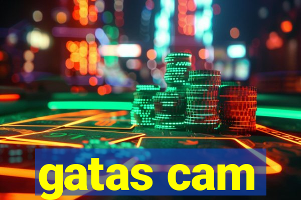 gatas cam